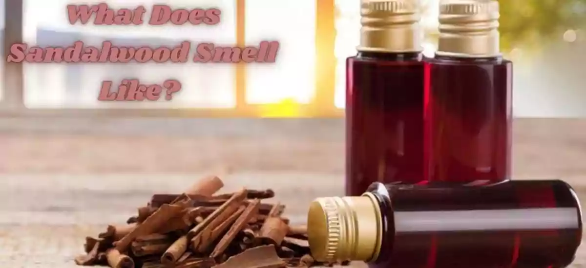 What Does Sandalwood Smell Like