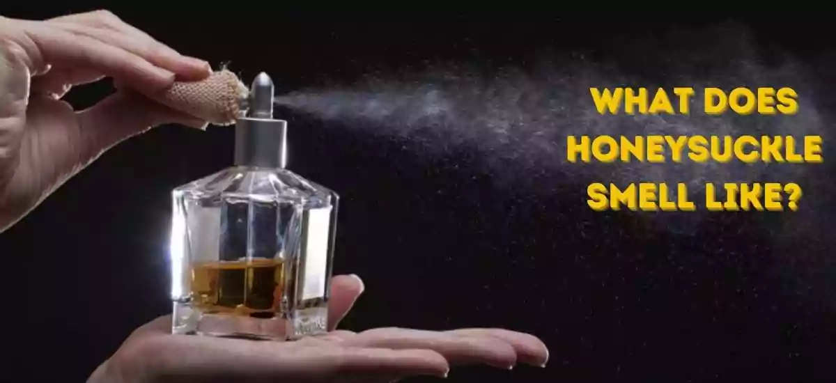 Honeysuckle Perfumes