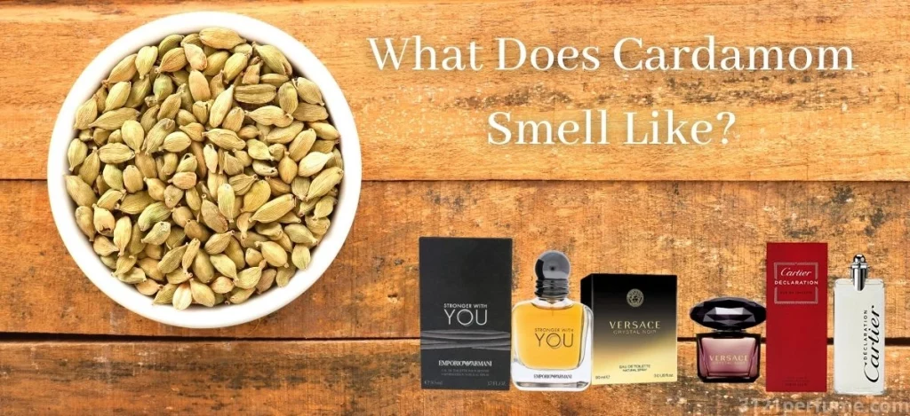 What Does Cardamom Smell Like?