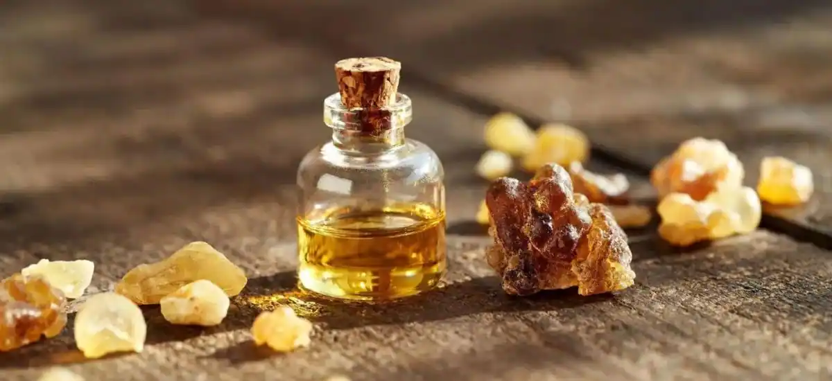What does frankincense smell like