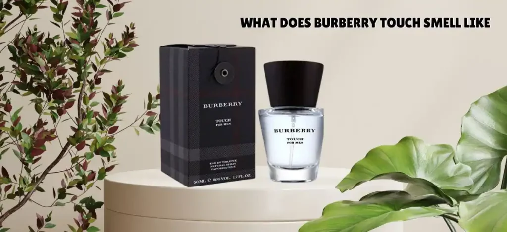 what does burberry touch smell like